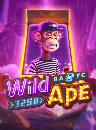ay66